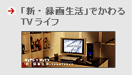 uVE^搶vłTVCt