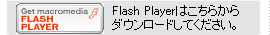 Flash Player͂炩_E[hĂB