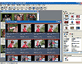 デジカメNinja 2003EX for Windows(使用期間限定版)