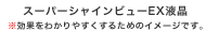 X[p[VCr[EXt