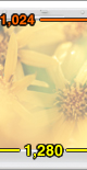 �L���\���̈�