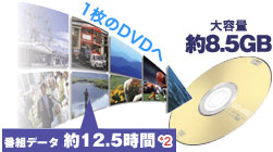 ԑgf[^ 12.5 1DVD e 8.5GB