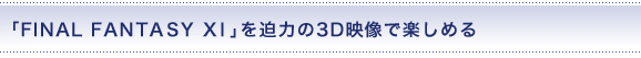 uFINAL FANTASY XI v𔗗͂3DfŊy߂
