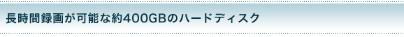 Ԙ^悪\Ȗ400GB̃n[hfBXN