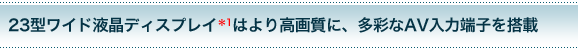 23^ChtfBXvC͂荂掿ɁAʂAV͒[q𓋍