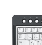 ���C�����X�L�[�{�[�h