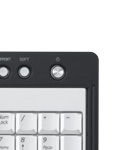 ���C�����X�L�[�{�[�h