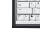 ���C�����X�L�[�{�[�h