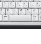 ���C�����X�L�[�{�[�h