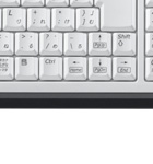 ���C�����X�L�[�{�[�h