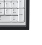 ���C�����X�L�[�{�[�h