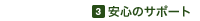 3.S̃T|[g