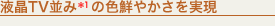 tTV(*1)̐FN₩