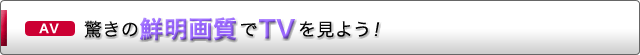 AV ̑N掿TV悤I