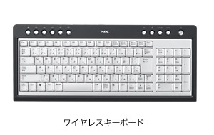 ���C�����X�L�[�{�[�h