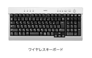 ���C�����X�L�[�{�[�h