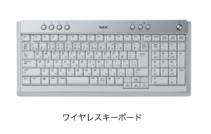 ���C�����X�L�[�{�[�h