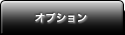 オプション