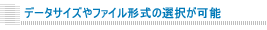 �f�[�^�T�C�Y��t�@�C���`���̑I�����\